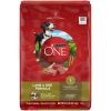 Purina ONE Dry Dog Food Lamb and Rice Formula - Purina ONE